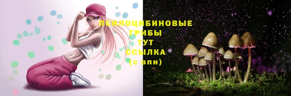 мет Аркадак