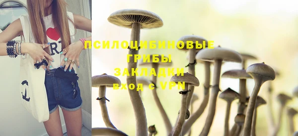 гидропоника Армянск